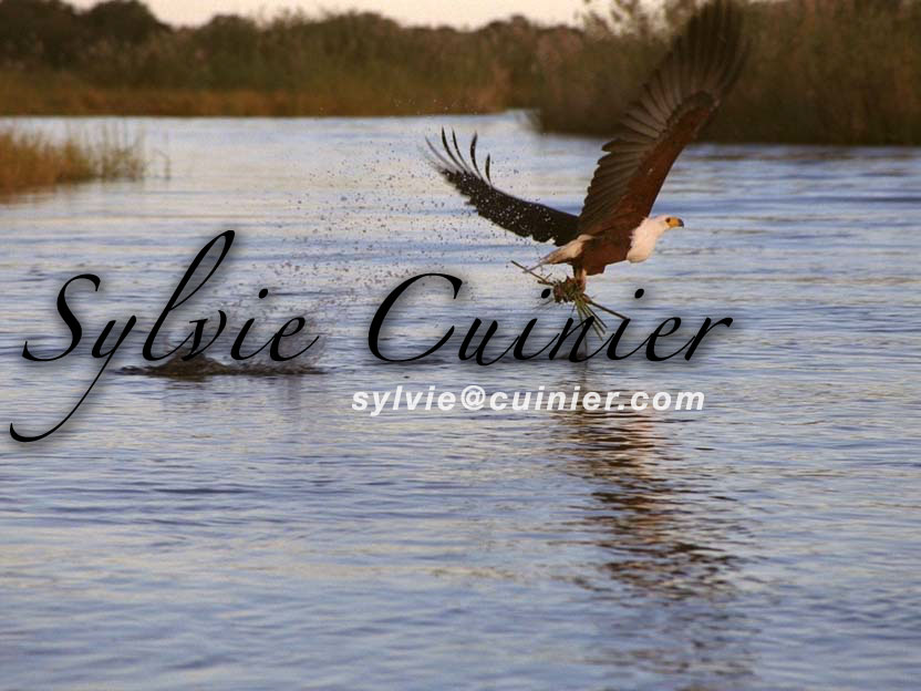 Sylvie Cuinier